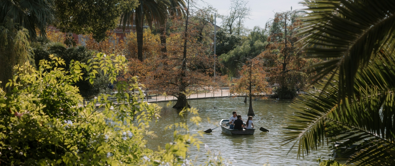 sam-carden-x6ywnHLxCqE-unsplash